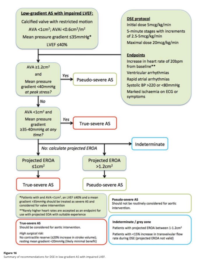 <a href="/BSEcho/">BSEcho</a> guidelines on assessment of aortic stenosis. Well done to lead author Liam Ring.                          doi.org/10.1530/ERP-20…
💥Standard TTE / TOE approach
💥Haemodynamic considerations
💥Tips for interpreting waveforms and results
💥 Low gradient AS assessment