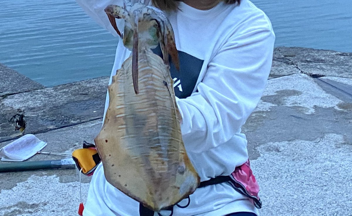 Tomoyanring Ringtomoyan Twitter