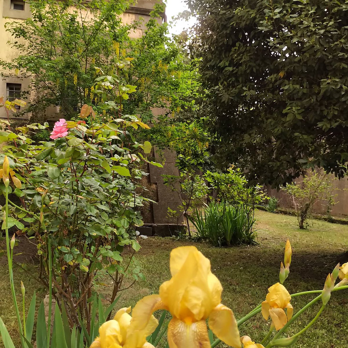 Vi accogliamo nel nostro giardino segreto nel fossato. Della serie...come fare di cose alquanto brutte, cose bellissime
<a href="/museitaliani/">museitaliani</a> <a href="/ACarsulae/">ArcheoCarsulae</a> <a href="/GaEstensi/">Gallerie Estensi</a> <a href="/MuseiCaprera/">Musei Garibaldini di Caprera</a> <a href="/Museo_Eboli/">MuseoArcheologicoNazionaleEboli</a> <a href="/MuseoCasaDante/">Museo Casa di Dante</a> <a href="/MuseoArcheoCa/">Musei Nazionali di Cagliari</a> <a href="/MuseoArcheoVene/">MuseoArcheoVenezia</a> <a href="/galleriaspada/">Galleria Spada</a>