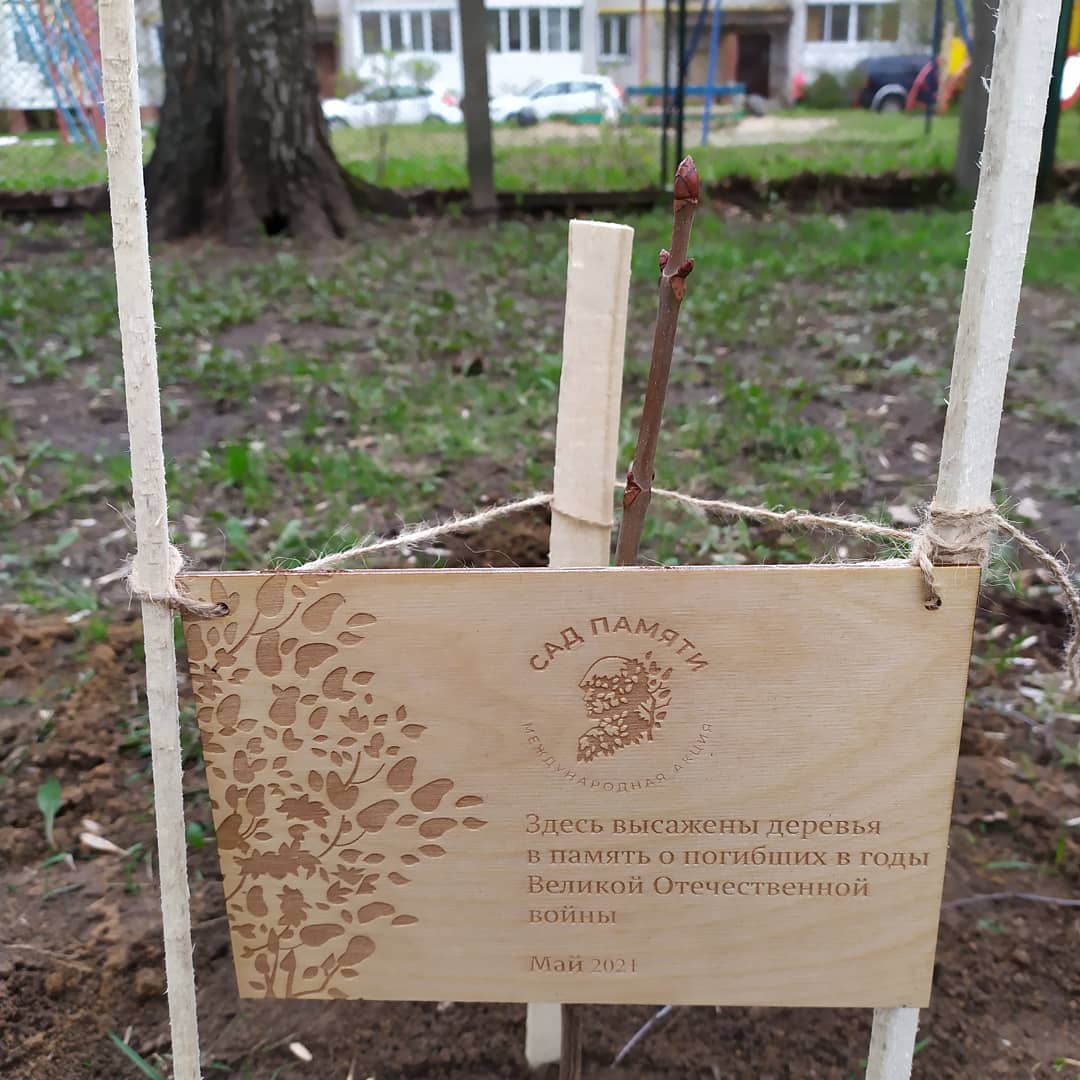 iDHNwRyKCd42lST's tweet image. Высадили первый саженец каштана в рамках проекта #СадПамяти #весенняянеделядобра в память о погибших в годы Великой Отечественной войны.