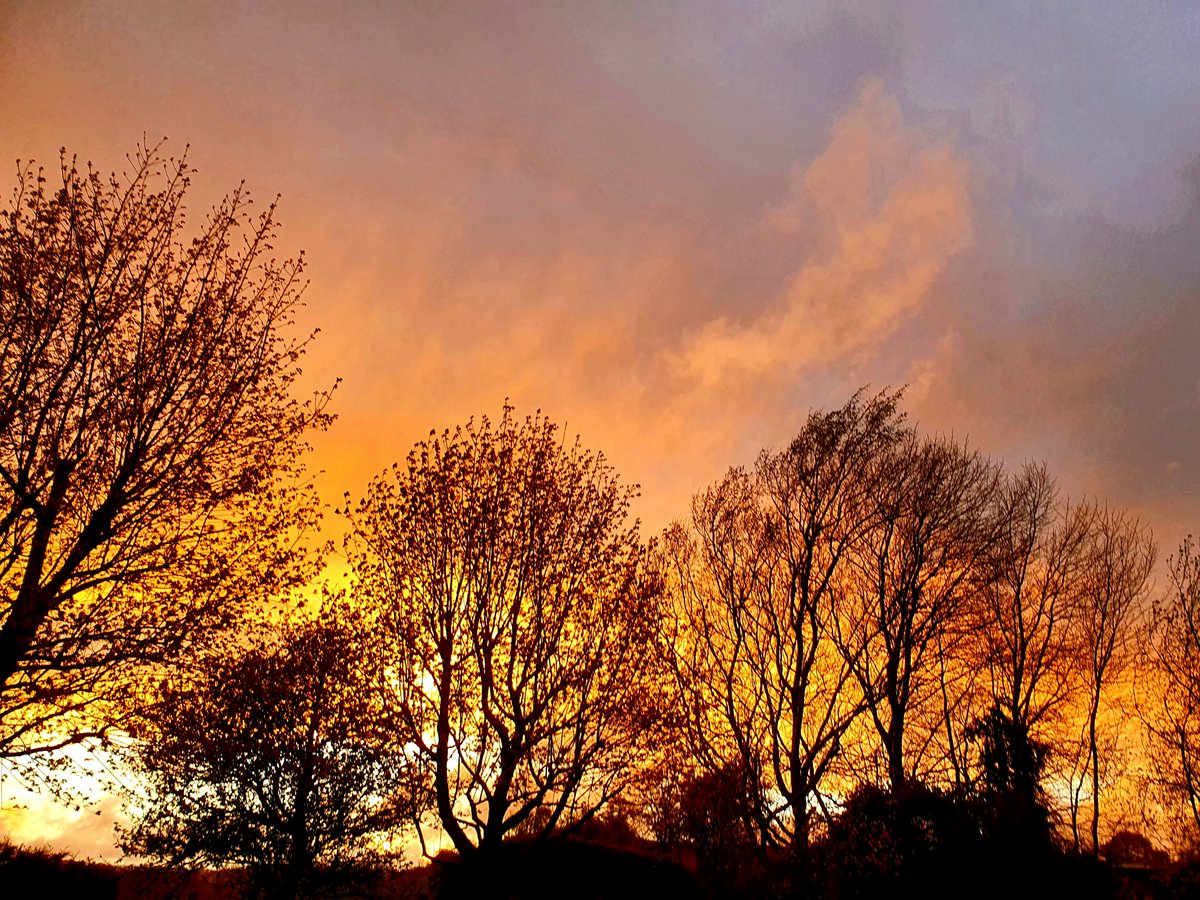 WriterRDavid's tweet image. After the rain: 'And walked abroad in a shower of all my days.'

'Poem in October' - Dylan Thomas

#dylanthomas #poetry #poet #poems #quote #author