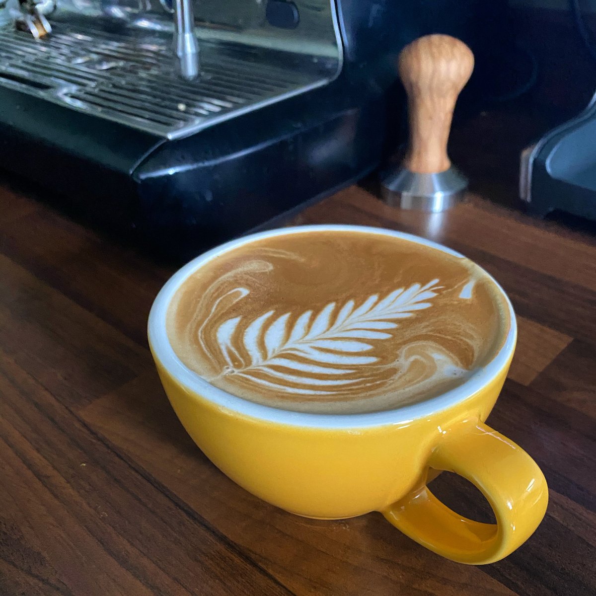 We provide the cups...the rest of the artwork is up to you...