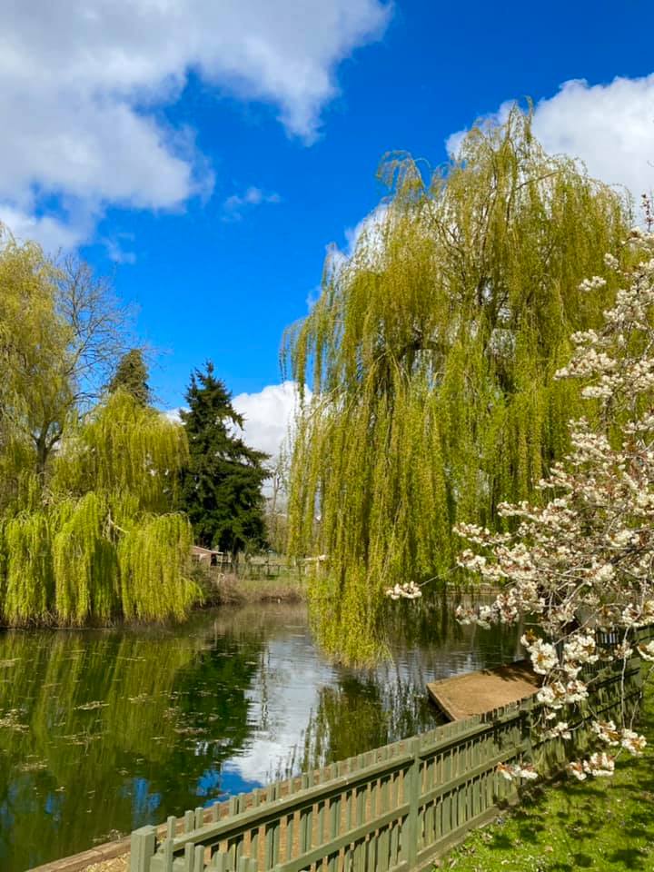 Beale Wildlife Park tweet media