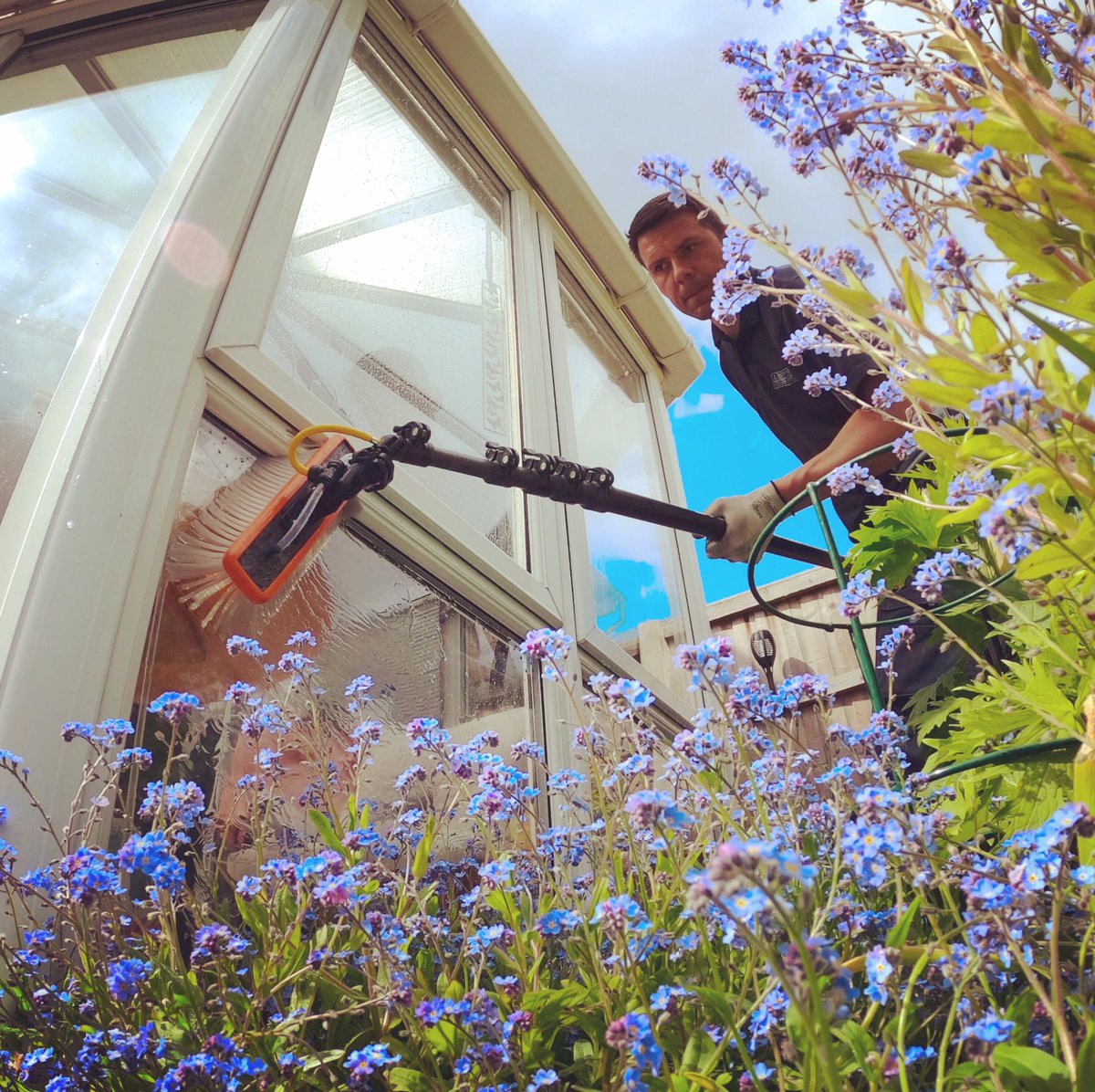 MackintoshClean's tweet image. Looking forward to more of these sunny days ahead!😎👍🏼🥷🏼 #windowcleaning #purewater #polesystem #waterfedpole #reachandwadh #windowcleaner #cleaning #conservatory #clean #spring #flowers #summer #sun #aemackintosh #professional #exterior #service #northampton #local #business