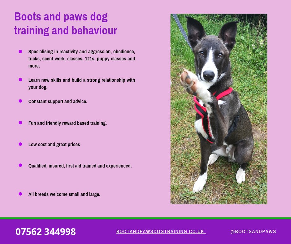 Sarah (@bootsandpaws27) on Twitter photo 