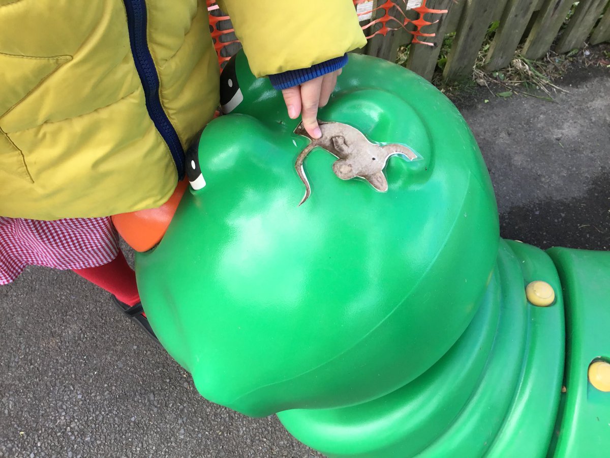 WoolacombeSch's tweet image. Barnabus has inspired our prepositions today. We’re ON it. #prepositions #TheBarnabusProject #outdoorlearning #lovebooks