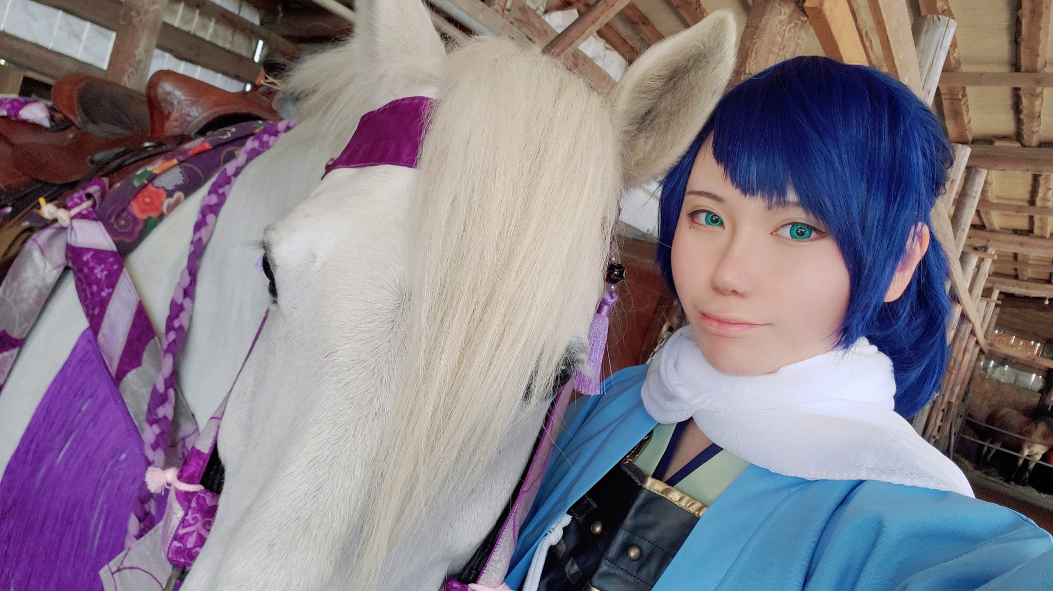 狎兎 Naruu 相棒と単騎遠征してきた 刀剣乱舞コスプレ 刀剣乱舞レイヤーさんと繋がりたい カメラマンさんと繫がりたい T Co Towksosy0a Twitter