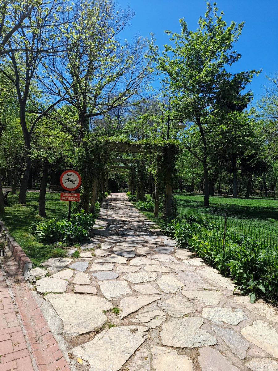 Dişçiden sonra özlediğim sensin bebeğim  @halkbahçesi