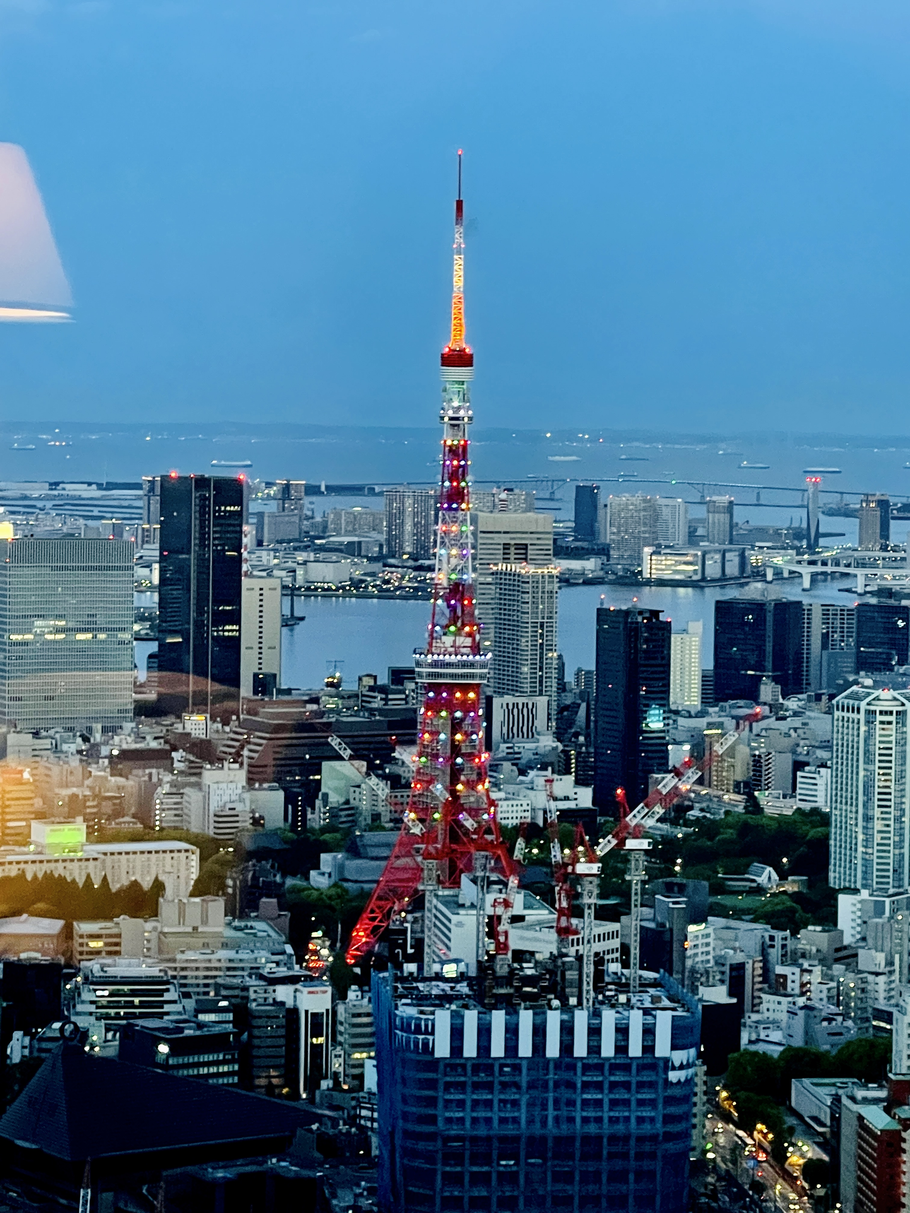 マイラーズtv お得 ホテルyoutuber 昨日 リッツカールトン東京のお部屋から撮影した東京タワー 残念なことに この ホテルから東京タワーは見えなくなります タワーの足元に見える高層ビルが完成したら 隠れてしまうのです ホテルからのタワービュー