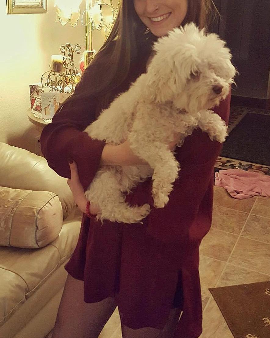 Eva36116's tweet image. I love my Snowy 🐕.. Who doesn't have a dog, doesn't know what true love is ♥️