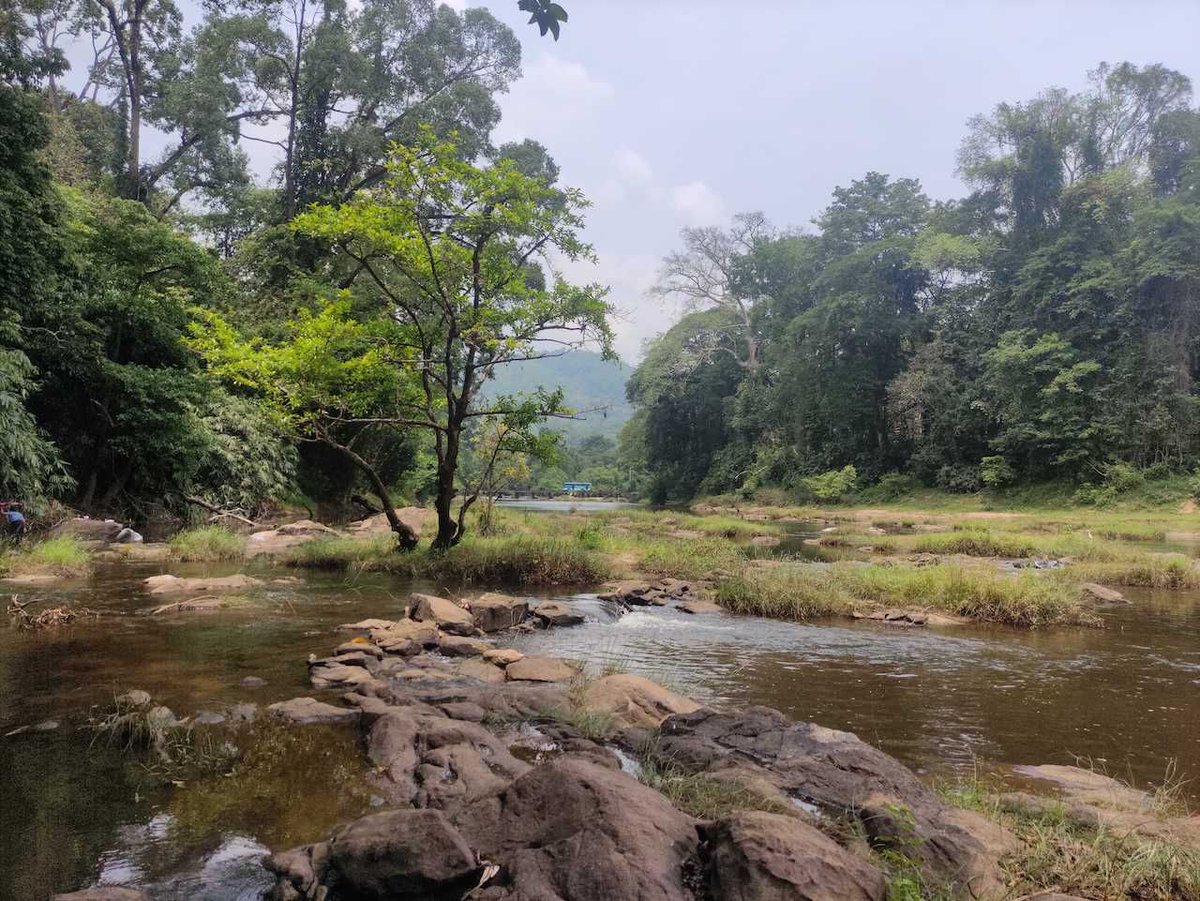 wpmudev's tweet photo. Don't our colleagues live in the most beautiful places? Today's view was pictured in Pooyamkutty, India by our Dev, Joel. 😍

#RemoteWork #WorkFromHome #WPMUDEVLife https://t.co/VjjXaQRVvP