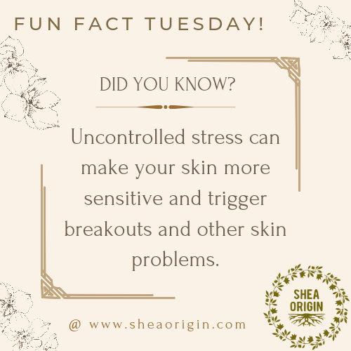 SheaOrigin's tweet image. Fun fact Tuesday!
Did you know that uncontrolled stress can make your skin more sensitive and increase the risk of breakouts?

Not to worry, Shea Origin has got you covered 😉