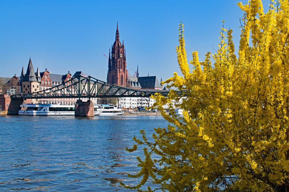 Citizen Science Projekt: Inwiefern hat sich dein Verhältnis zur Natur in der Corona-Pandemie verändert? Welche Naturentdeckungen hast du gemacht? Das <a href="/isoewikom/">ISOE</a> sucht im neuen Projekt nach Videoclips von Frankfurter Bürger*innen. 🌱🌳

👉 Alle Infos hier: ow.ly/X3Wt50EBwhN