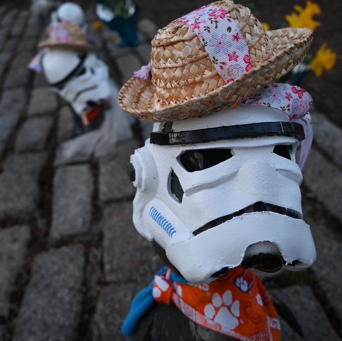 Make Way for Ducklings dressed for the occasion. #Boston #MayThe4thBeWithYou