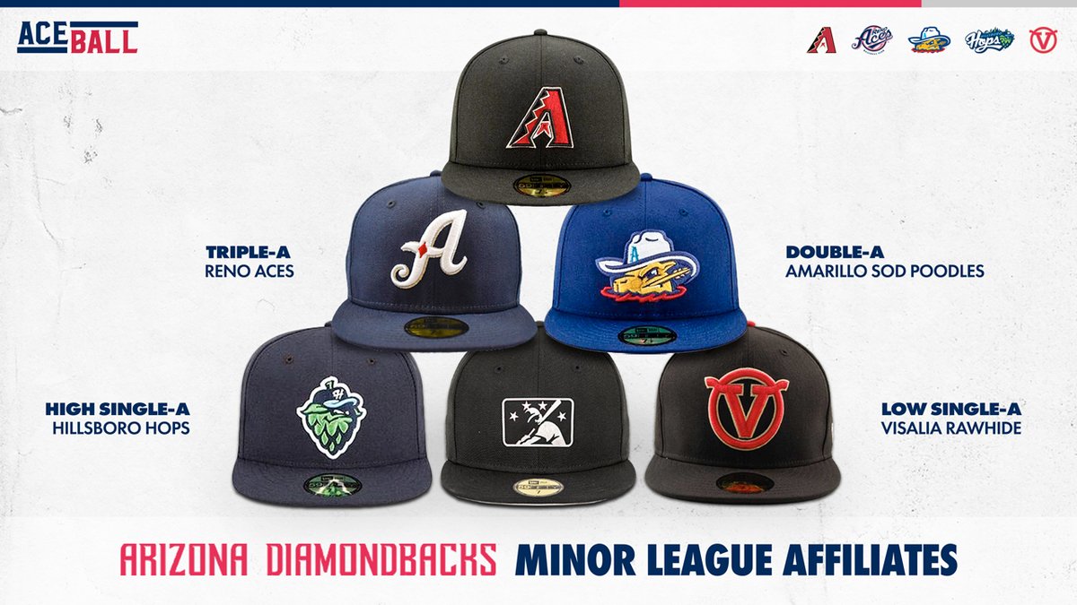 Best of luck to the fam on #MiLBOpeningDay!

#MiLBMajorFun | #Aceball