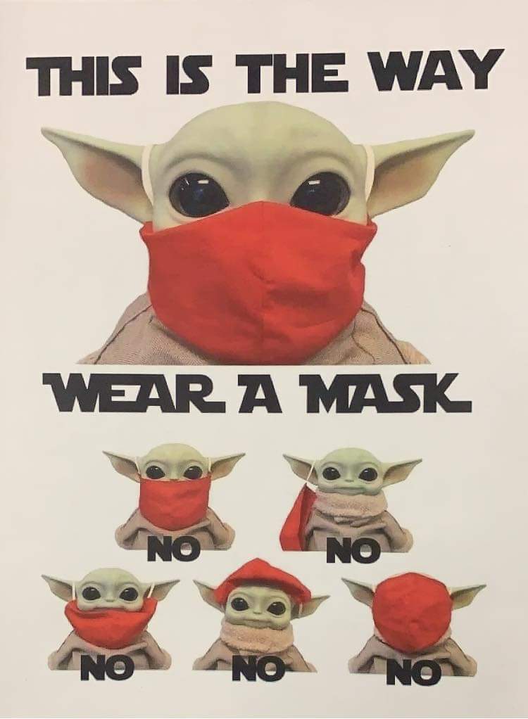 It's Star Wars Day--a good day to remind all our young Jedis to use the Force against COVID-19! surreyschools.ca/NewsEvents/Pos…

#checkup #backup #washup #maskup 
#sd36learn #SurreyBC #WhiteRockBC #MayThe4thBeWithYou