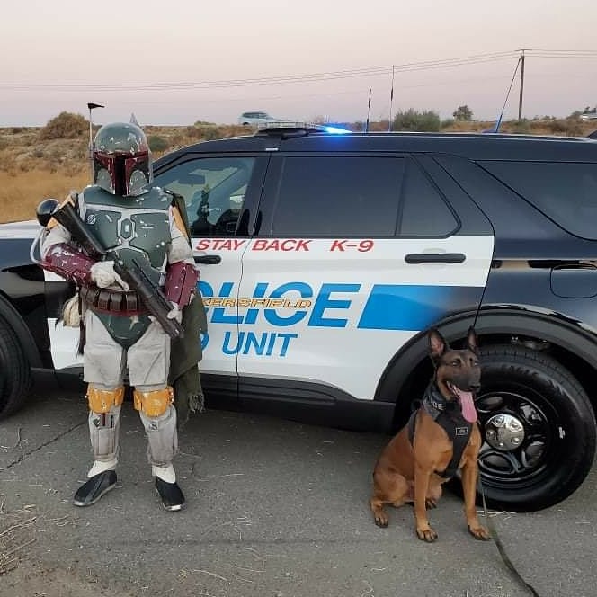 bakersfieldpd's tweet image. May the Fourth Be with You, Jango 💙

Did you know #K9Jango was named after the #StarWars character, Jango Jett? 

You are greatly missed, buddy.

“The Force will be with you. Always.” — Obi-Wan Kenobi

#MayThe4thBeWithYou
