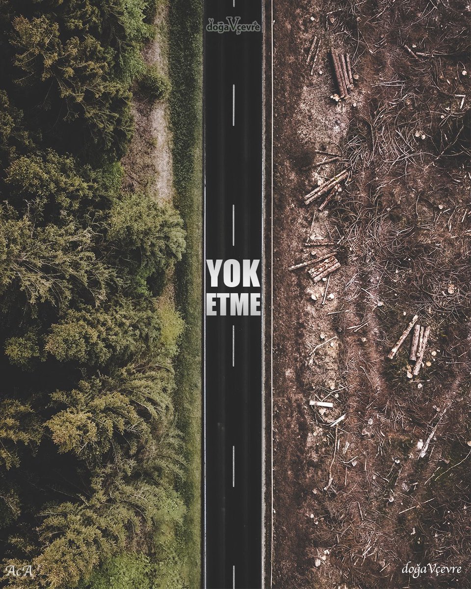 Yok etme ! 
Ormanlarına sahip çık !