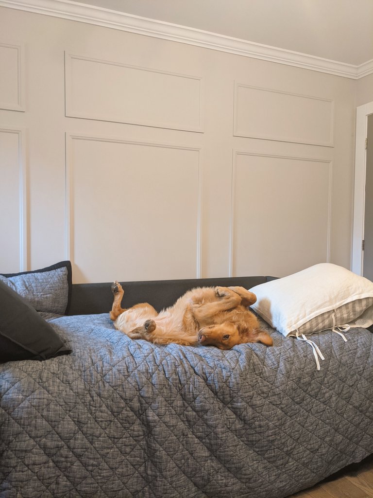 An accurate depiction of how I feel on this busy Tuesday 😅😴 #NeedMoreCoffee