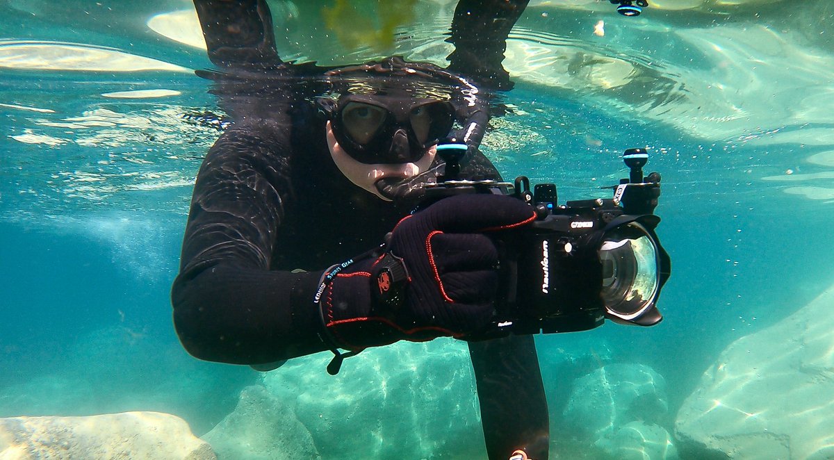 frogbmth's tweet image. Snorkelling at Portland #bsacdivers