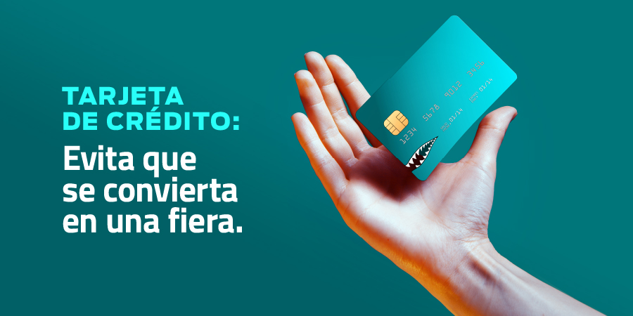 ProUsuarioRD's tweet photo. Dada su naturaleza, una tarjeta de crédito puede ser el camino más corto al sobreendeudamiento o, por el contrario, un aliado eficaz para facilitar nuestros procesos de pagos y la creación de un buen historial crediticio.

¿Qué hace la diferencia? 👉 https://t.co/af1YHfOqKU https://t.co/XSBFkJokDs