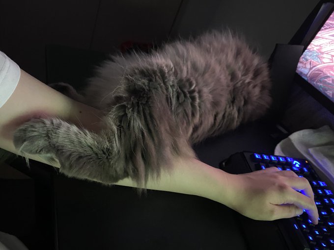 キーボード 高画質 のtwitterイラスト検索結果 古い順