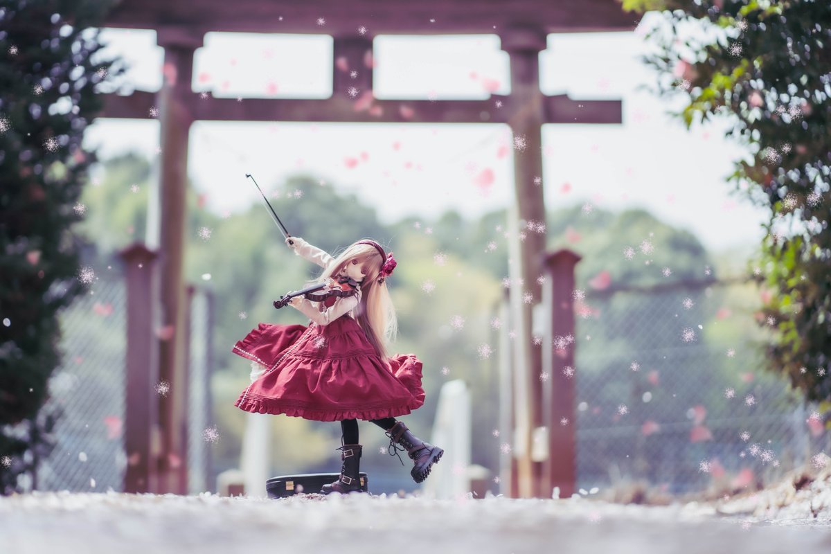 柿樽そよぎ 写真 イラスト 色合いを変えたカットを使ってクリスタで桜吹雪を追記してみた イメージは結婚式のライスシャワー ウマ娘のライスシャワーはまだ手に入れてません T Co 8a2rcijn0u