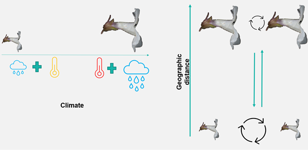 Dr. Rosa A. Rodríguez-Peña tweet media