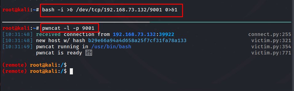0dayCTF's tweet photo. pwncat:
-
Repo: https://t.co/Dpeif41xAq
-
Creator: @calebjstewart 
-
#cybersecurity #cybersecuritytools #ctf #pwncat #netcat #reverseshells #bindshells #ssh #enumeration #recon https://t.co/JJW7jEmIdt