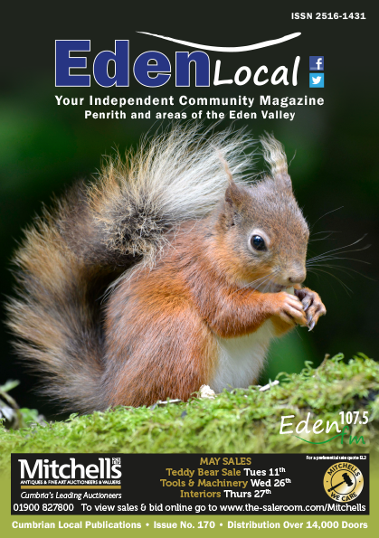 CumbrianLocal's tweet image. A real local on the front cover of the Eden Local, thank you to the P&amp;amp;DRSG &amp;amp; @RedSquirrelsNE for helping with this. Posted to over 14,000 doors in the Eden Valley, Cumbria. One of the most sparsely populated areas of England. Online to read at issuu.com/edenlocal/docs… Pages 30-32