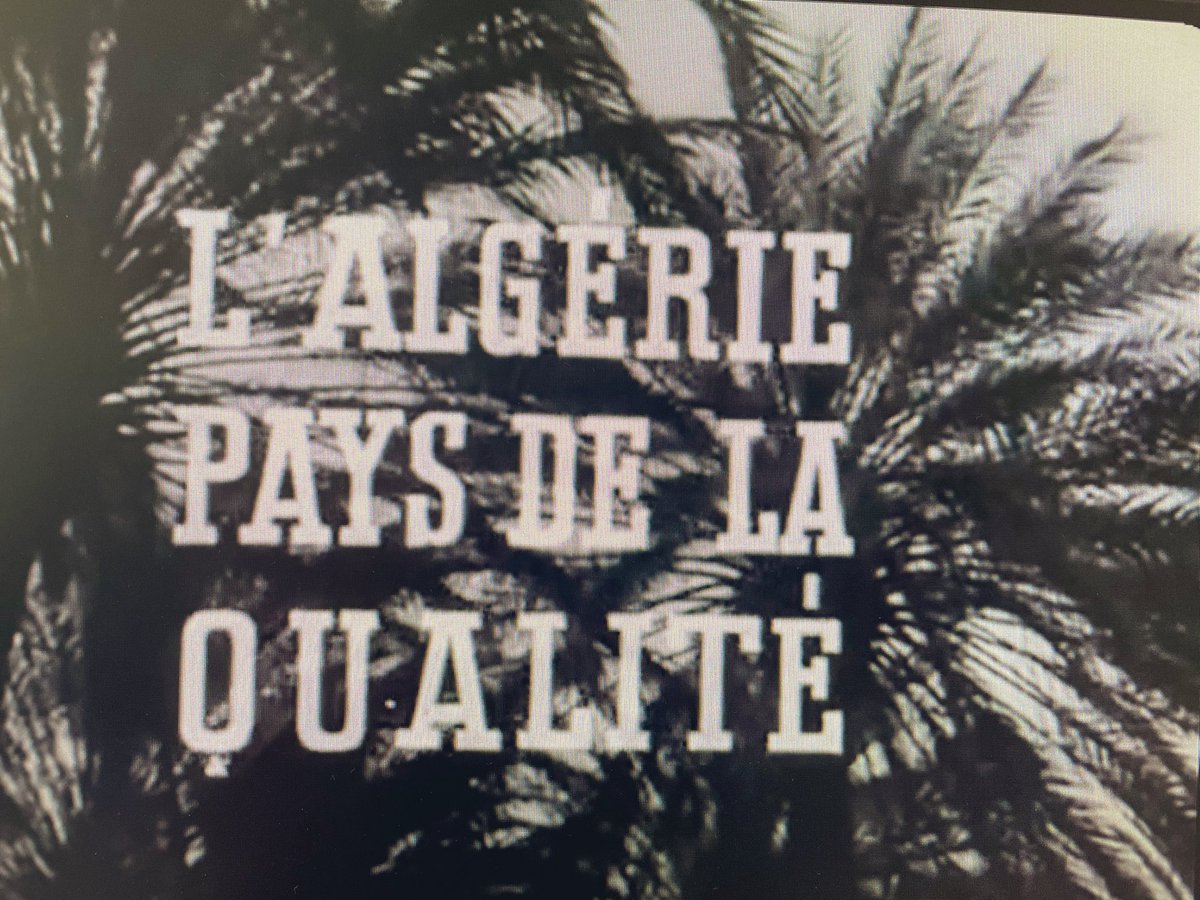 TrefogliMichele's tweet photo. Cento anni e più di #migrazione #svizzera in #Algeria. Fra le migliaia di elvetici partiti dal 1830 innumerevoli ticinesi. Alla ricerca del pane africano nelle colonie francesi. E la Svizzera neutrale cosa (non) diceva? Stasera al #Quotidiano #rsi #rsinews https://t.co/WvHcEtNJ9p