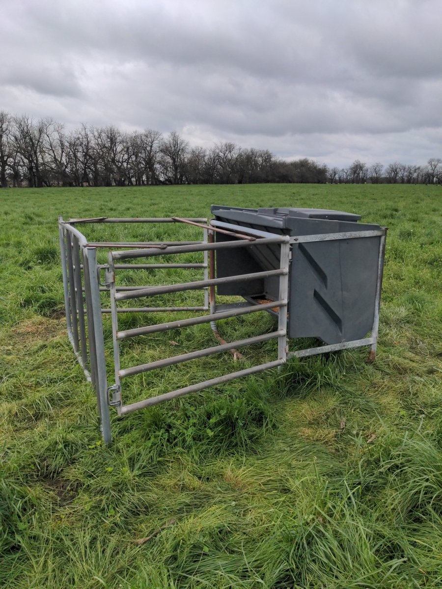 Cody Leemon tweet media