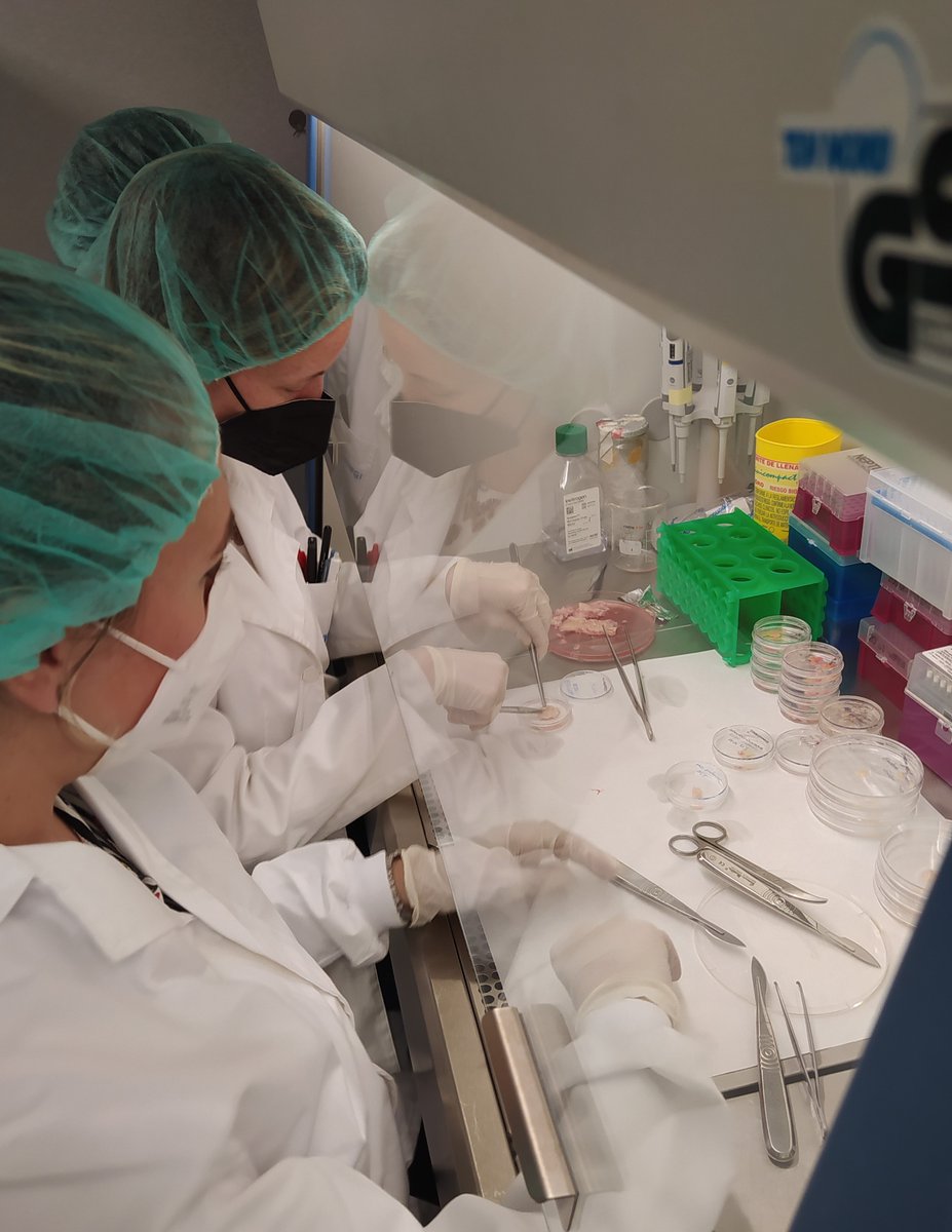 Processed 72% of samples from Estonian partner Competence Centre on Health Technologies (CCHT). huter-hca.eu/participants/ <a href="/DrLindskog/">Cecilia Lindskog</a> <a href="/roserventotormo/">roser</a> <a href="/FelipeVilella1/">Felipe Vilella</a> <a href="/incliva_iis/">INCLIVA</a> <a href="/GVAclinic/">Hospital Clínic de València</a> <a href="/HospitalLaFe/">HospitalLaFe</a> <a href="/HGUVALENCIA/">HOSPITAL GENERAL</a>