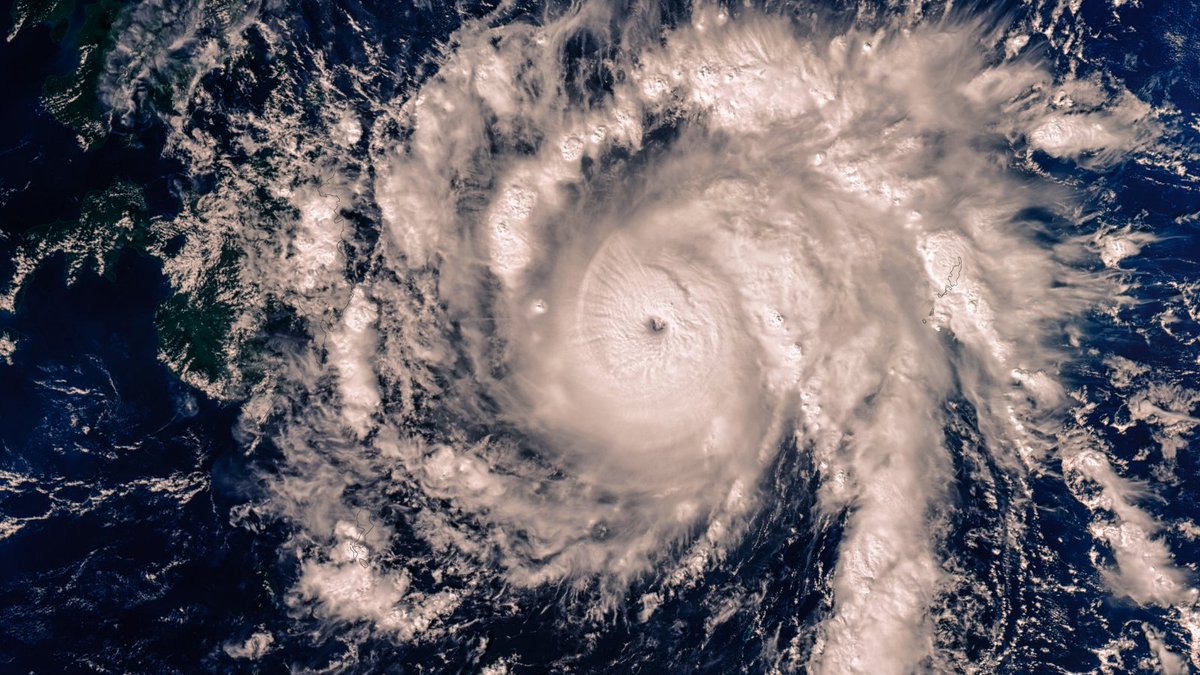 Queen Sofía Spanish Institute tweet media