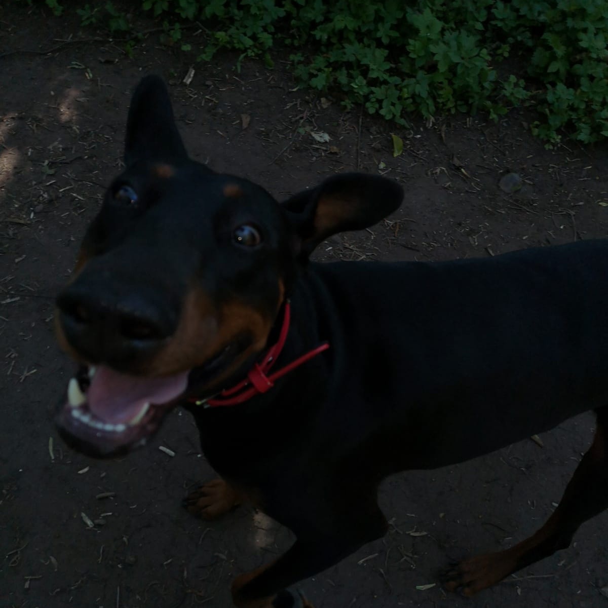 FinleyEdge's tweet image. #NewProfilePic