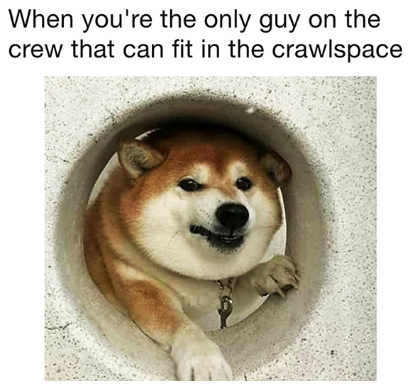 AbsoluteClimateCntr tweet media