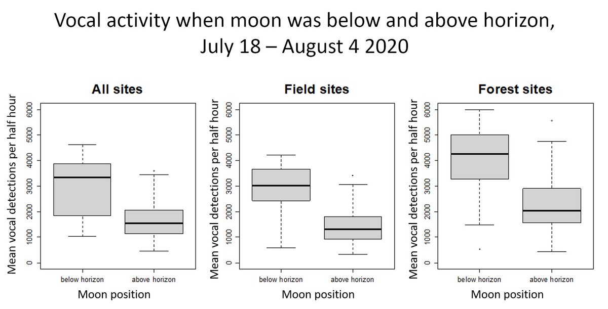 sam_albright_'s tweet image. LHSP on MET nest in open and forested areas. Vocal activity decreased as moon fullness increased (p &amp;lt; 0.001) &amp;amp; was significantly greater when moon was below the horizon (Mann Whitney U test p &amp;lt; 0.001). #WSTC7 #ToolSesh2