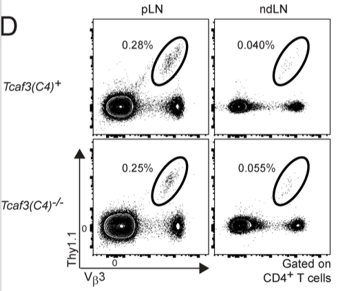 mmw_lmw's tweet photo. #OrganSpecific #T_cell_infiltration | Altered selection on a single self-ligand promotes susceptibility | Peter Savage @UChicago @JExpMed https://t.co/PweSmLkHMp https://t.co/pFfvJaoaGq