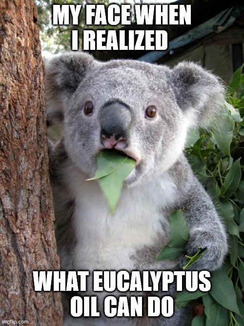 Eucalyptus Oil sounds fun b/c koalas eat eucalyptus and they seem cool. If you're a koala , you can stop reading. Everyone else, please note that kids can get sick after ingesting just a teaspoon of this oil! Toxicity looks like drowsiness, ataxia, vomiting, and seizures. (5/x)