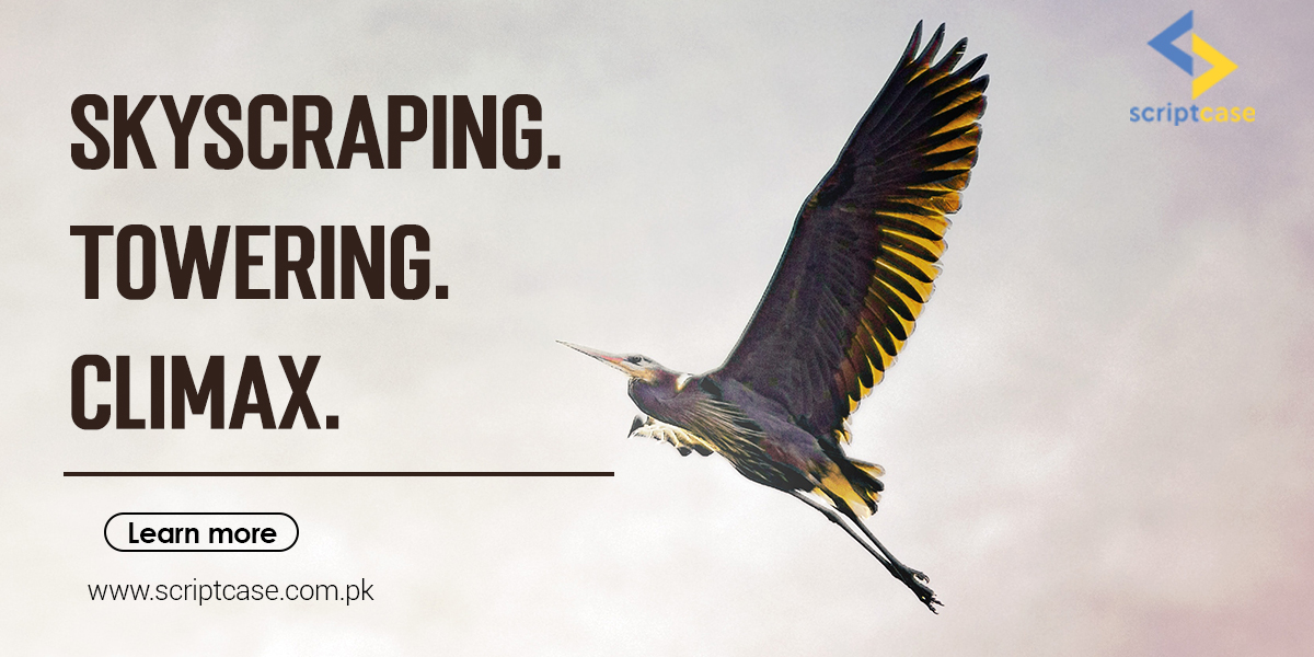 ScriptcaseI's tweet image. scriptcase.com.pk