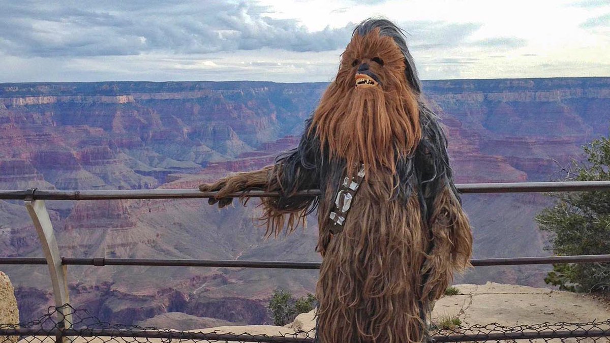 Dear Han,  
Guess where I am!  
Grand Canyon — Anakin see for miles and miles. RAWRGWAWGGR 

#MayThe4thBeWithYou #GrandCanyon #Arizona #ArizonaLife