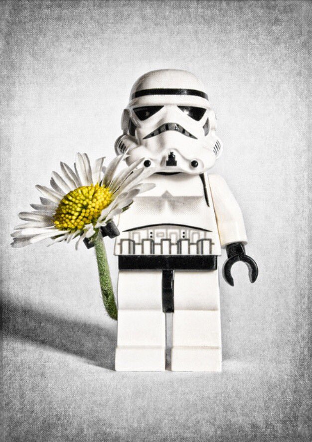 May the Fourth be with you <a href="/brighton_belles/">Brighton Belles WI</a> <a href="/starwars/">Star Wars</a> <a href="/LEGO_Group/">LEGO</a>