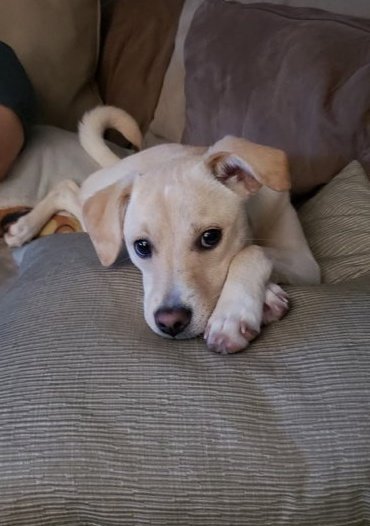 k_poppy4's tweet image. That Bone Broth tho...💕💋🦴#Wasted #BuschCTOcontest