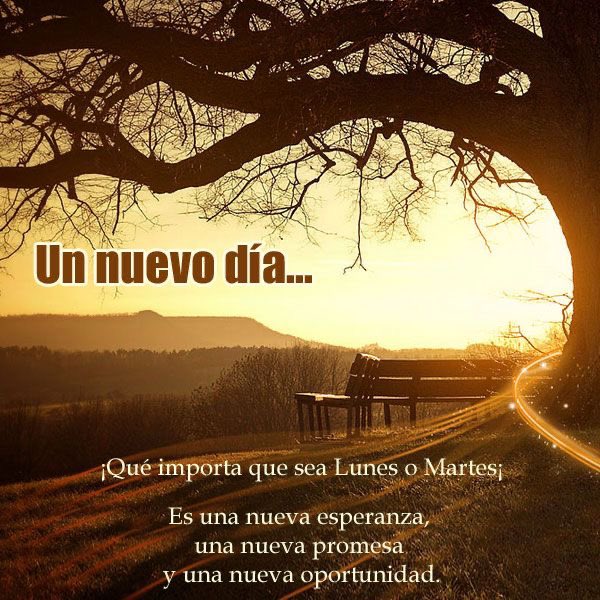 mamaruza78's tweet photo. @AzucenaCamb @purpuracocaes @Leonor188 @CanoEscalo @carmenpoleo @RaquelAngarita @malede7 Demos gracias por ser un
día más con la bendición 
De Dios y con salud 🙏🏼🌼🌾 https://t.co/533k9h9WJg