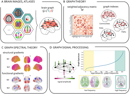 netneurosci's tweet photo. Network Neuroscience (2021) 5 (2): 322–336.

Gradients of connectivity as graph Fourier bases of brain activity

https://t.co/vGCGTaJBJh

by @giulia_lioi et al https://t.co/no748YgnJe