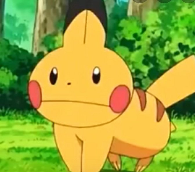 themouseyouknow's tweet image. Pikachu Mudkip is one of the best things the Pokémon anime gave us