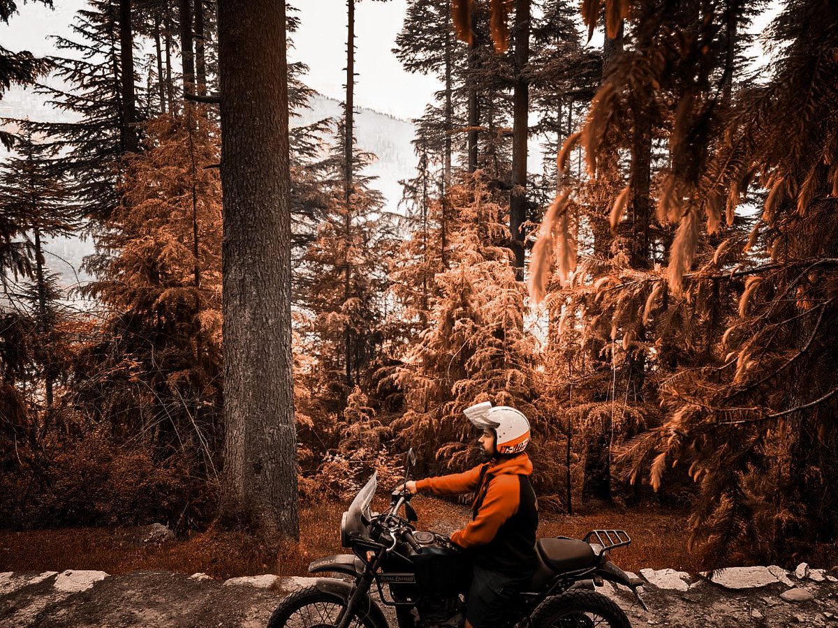 MotorcycleExped's tweet image. Spinning around Manali.