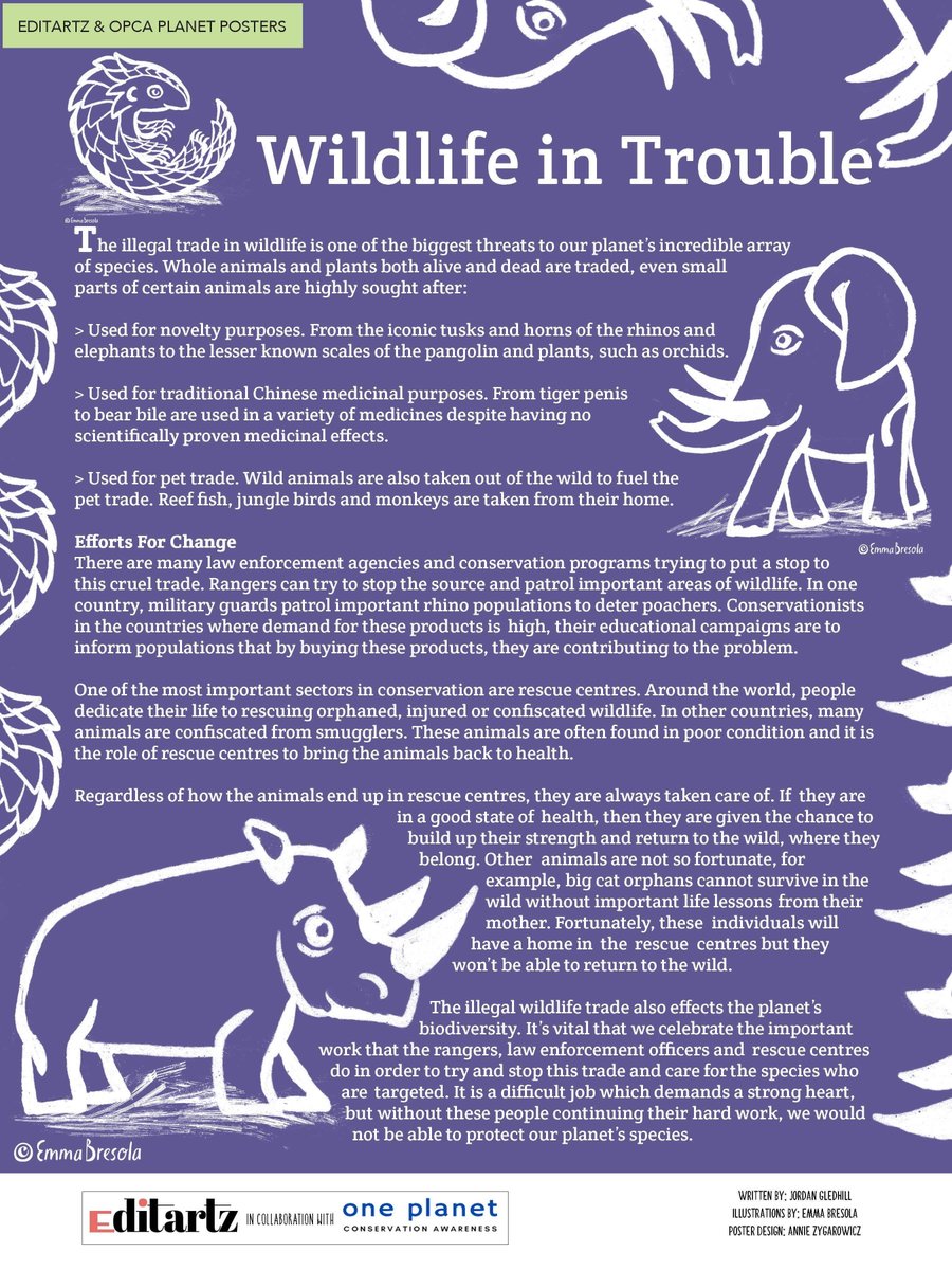 editartz's tweet image. Let's create a POSTER to spread awareness about Wildlife in Trouble💚
Specs: 9” x 12”, (portrait) 300dpi,any media,with or  without typography/hand lettering.Add  your logo/signature.Share on our Editartz socials instagram.com/_editartz
Don't forget to tag us @_editartz #editartz