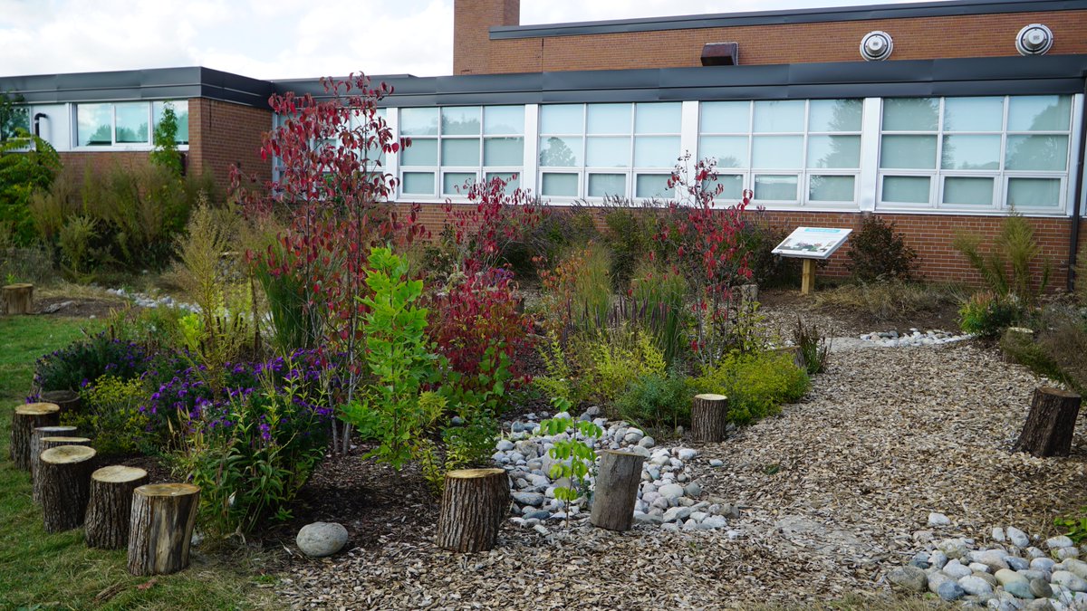 @UnfloodOntario Here’s one at a school in #Mississauga! The benefits of #raingardens go beyond #stormwatermanagement and make for great #outdoorclassrooms helping teachers bring the curriculum to life. @CVC_CA @AllanAMartinPS