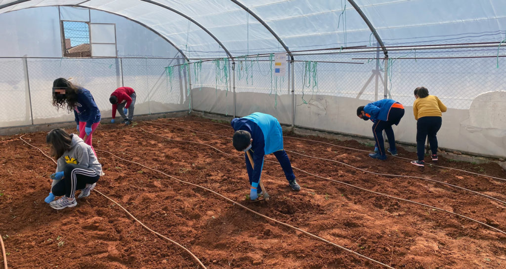FundacionCepaim's tweet photo. #ProyectoBabel
En #BolañosdeCalatrava ya hemos puesto en marcha el #invernadero comunitario para mejorar la #convivencia, la integración y la interculturalidad en el entorno educativo del Colegio Público Virgen del Monte.
🍅🥬 https://t.co/bnPhHxYY7D
@inclusiongob @FundlaCaixa https://t.co/zYkPCbERXf